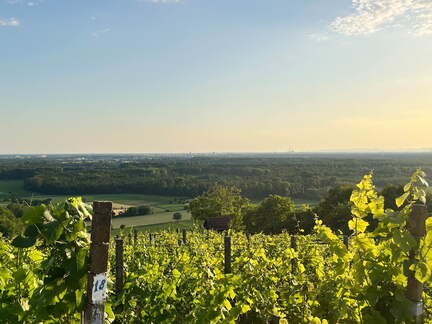 22-06-15 20-23-14 1100